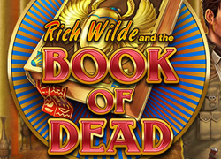 Book of Dead Online Slot Logo