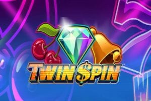 Twin Spin Logo